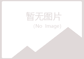 龙城区夏岚服务有限公司